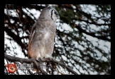 Reuseooruil-6_FED3263