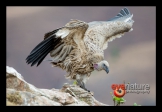 page12-1021-full