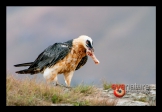 page12-1039-full