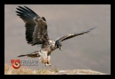 page12-1043-full